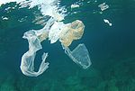 Plastic rubbish garbage pollution in ocean (©Richard Carey/Fotolia)