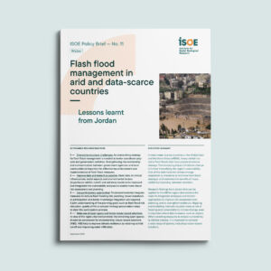 Policy Brief No. 11: 