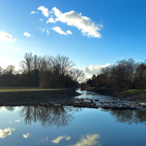 Die Nidda bei Frankfurt Sossenheim 2025: Naturnaher Umbau des Sossenheimer Wehrs und Anschluss des Grill´schen Altarmes an die Nidda.
