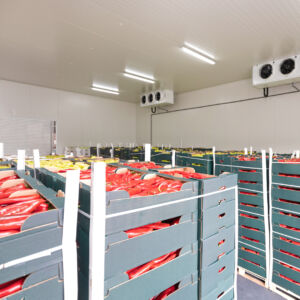 Red Peppers Cold Storage