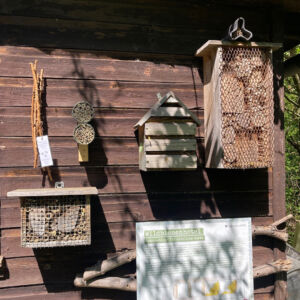 Utensiles to build in insect shelter.