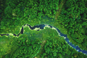 Luftaufnahme Wald und Fluss