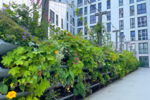 Living wall for urban greening in the city. Vertical gardening in a residential building.