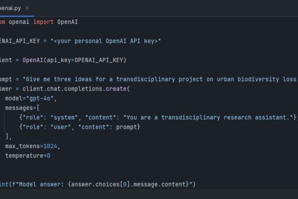 Code example for programmatically calling GPT-4o through OpenAI’s API. The code is written in Python, which is currently the de facto the lingua franca of AI/ML. However, most LLM providers support a range of programming languages for use with their API.
