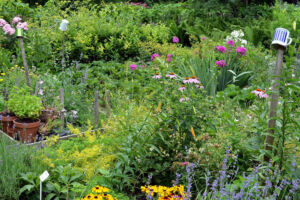 Naturnaher Garten