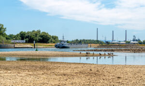Niedrigwasser am Rhein beim Ölhafen Karlsruhe